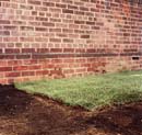 06-patch of sod