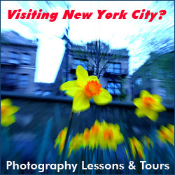 visiting new york banner
