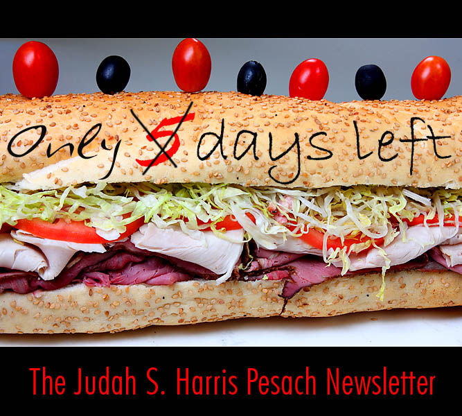 Judah S. Harris Pesach Newsletter graphic