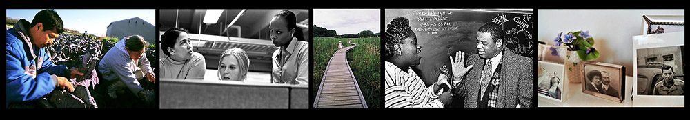 photo strip