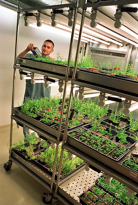 12_greenhousewiderview