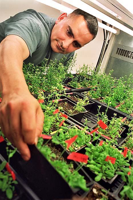 13_reachingingreenhouse