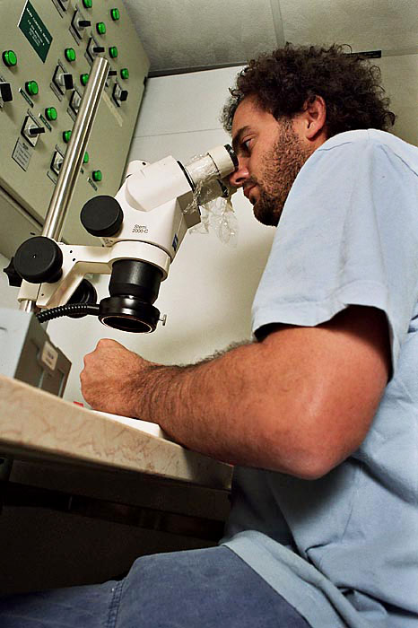 15_atmicroscopelowangleLR