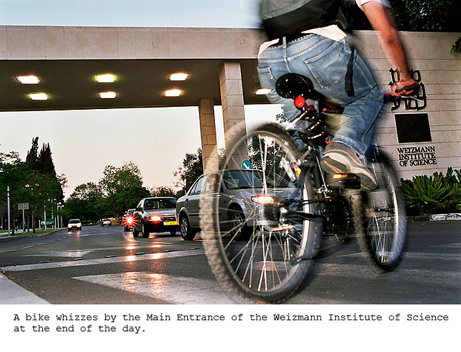 42_bike at front gate